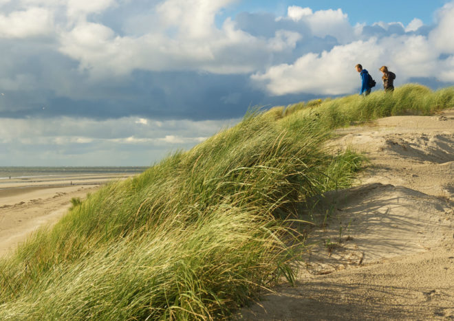 Strand en duinen met helmgras Texel vlakbij De Pelikaan
